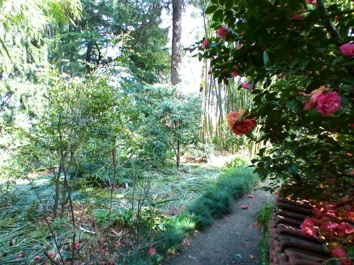 Апартаменты La Camelia D'Oro Оджеббио Экстерьер фото